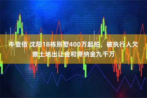 牛壹佰 沈阳18栋别墅400万起拍，被执行人欠缴土地出让金和滞纳金九千万