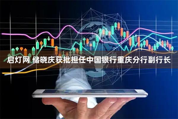 启灯网 储晓庆获批担任中国银行重庆分行副行长